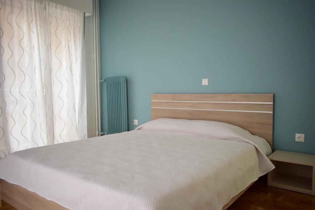 Beautiful Renovated Flat In Athens Apartment ภายนอก รูปภาพ