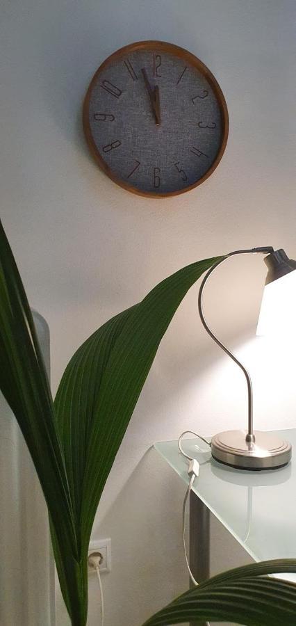 Beautiful Renovated Flat In Athens Apartment ภายนอก รูปภาพ